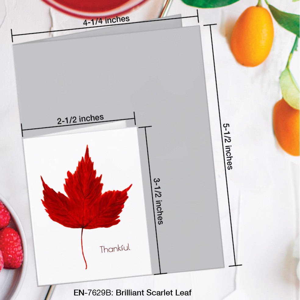 Brilliant Scarlet Leaf, Greeting Card (#7629B), Enclosure Card, www.printedcanvas.com