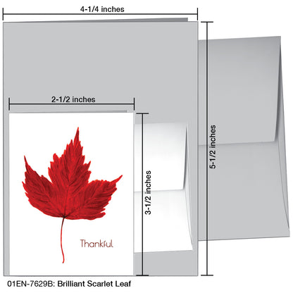 Brilliant Scarlet Leaf, Greeting Card (#7629B)