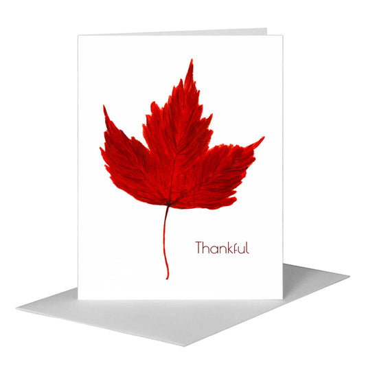 Brilliant Scarlet Leaf, Greeting Card (#7629B) A2 Card Front, www.printedcanvas.com