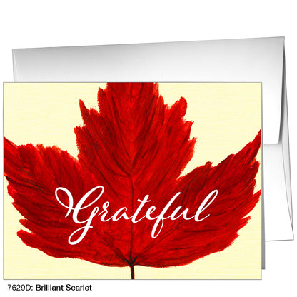 Brilliant Scarlet, Greeting Card (7629D)