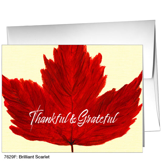 Brilliant Scarlet, Greeting Card (7629F)