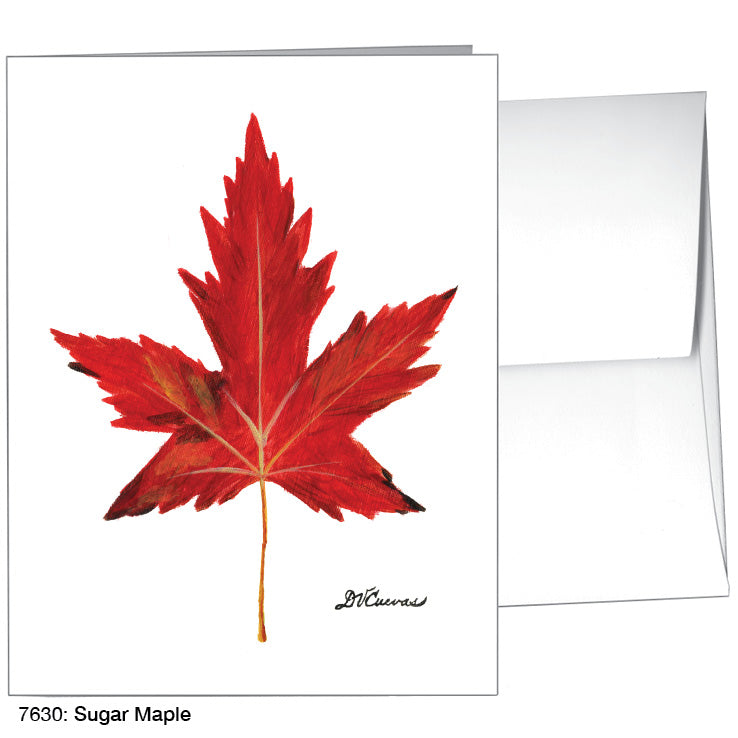 Sugar Maple, Greeting Card (7630), A2, printedcanvas.com