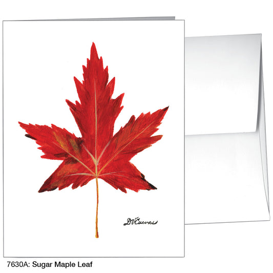 Sugar Maple Leaf, Greeting Card (#7630A)