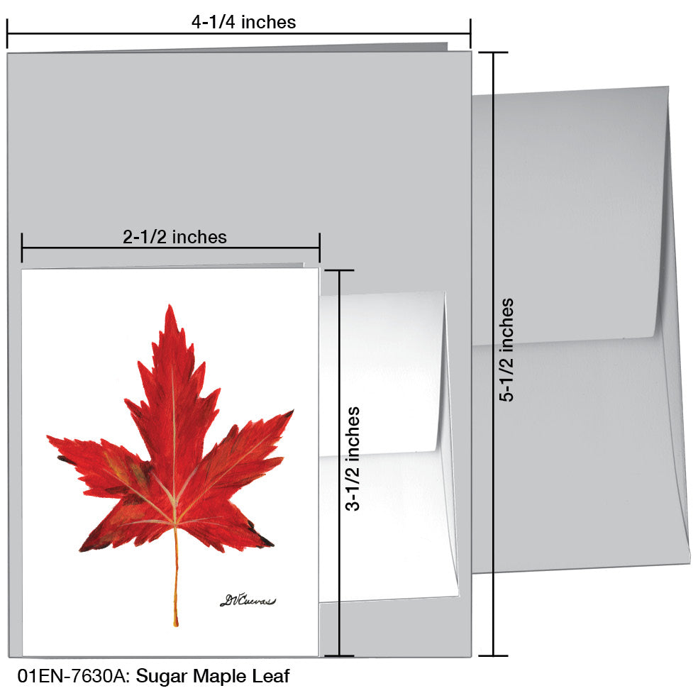 Sugar Maple Leaf, Greeting Card (#7630A)