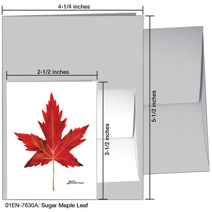 Sugar Maple Leaf, Greeting Card (#7630A)