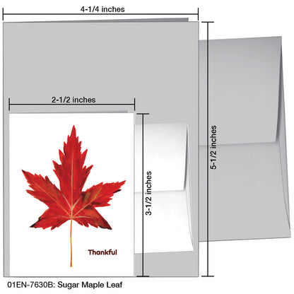 Sugar Maple Leaf, Greeting Card (#7630B)