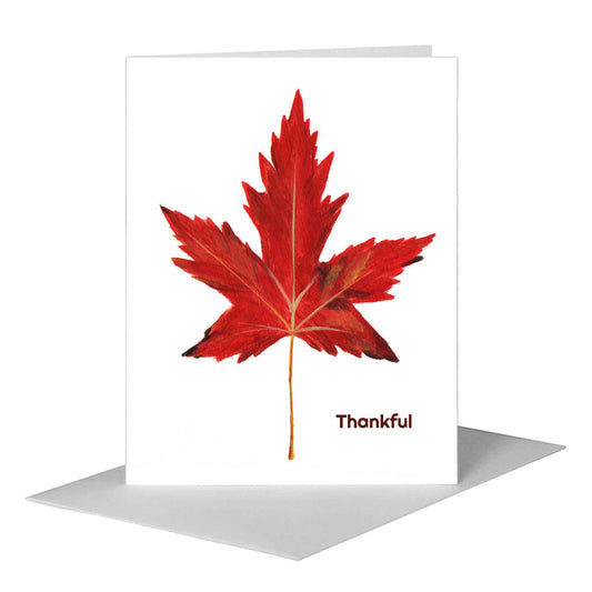 Sugar Maple Leaf, Greeting Card (#7630B) A2 Card Front, www.printedcanvas.com