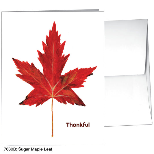 Sugar Maple Leaf, Greeting Card (#7630B)