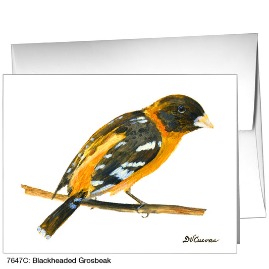 Blackheaded Grosbeak, Greeting Card (7647C)