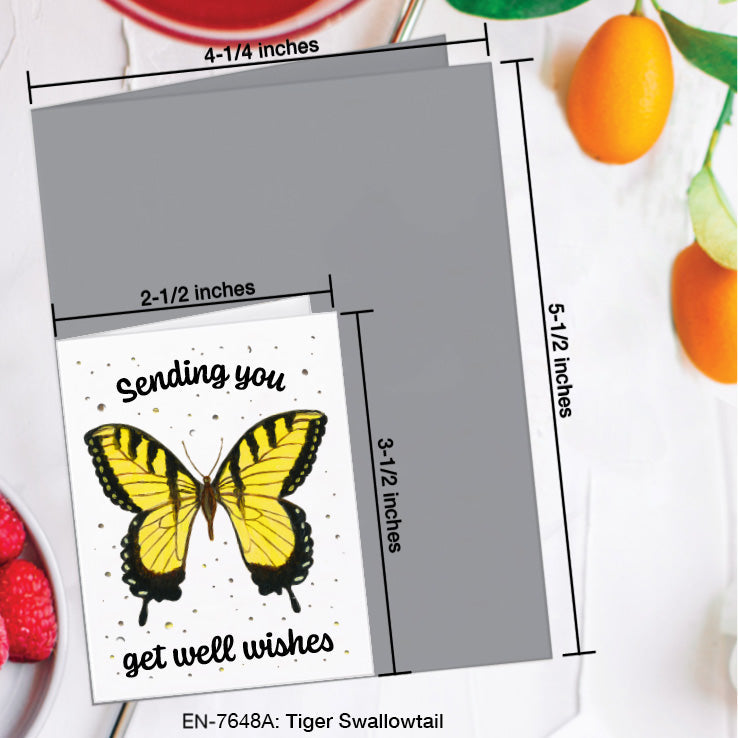 Tiger Swallowtail Butterfly, Greeting Card (7648A), Enclosure, www.printedcanvas.com