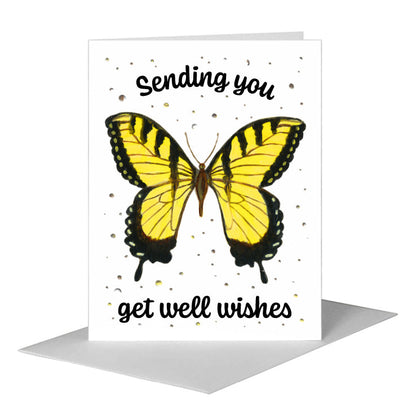 Tiger Swallowtail Butterfly, Greeting Card (#7648A), A2 Card Front, www.printedcanvas.com