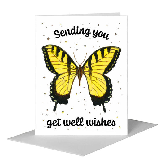 Tiger Swallowtail Butterfly, Greeting Card (#7648A) A2 Card Front, www.printedcanvas.com