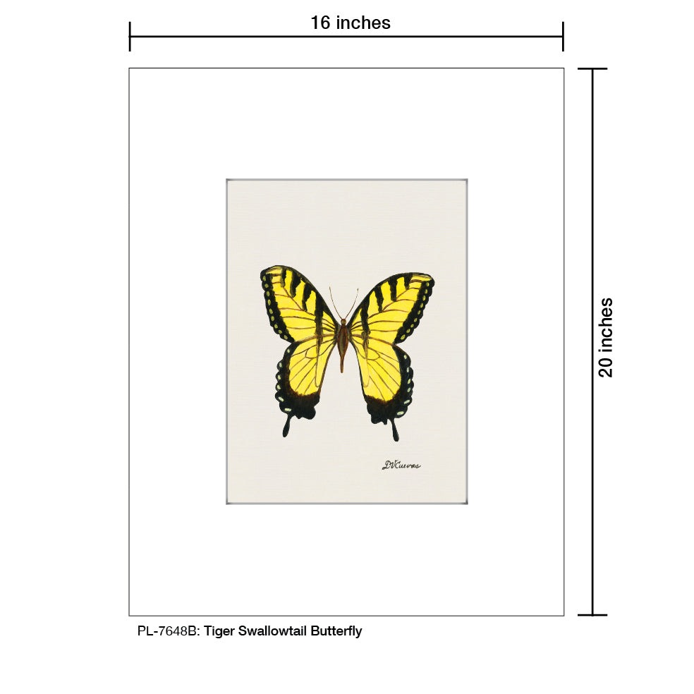 Tiger Swallowtail Butterfly, Print (#7648B)