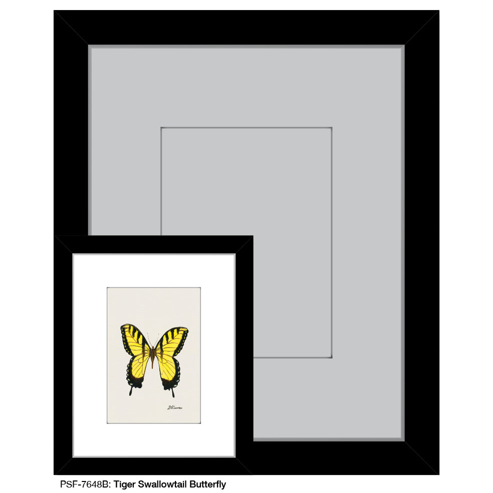 Tiger Swallowtail Butterfly, Print (#7648B)
