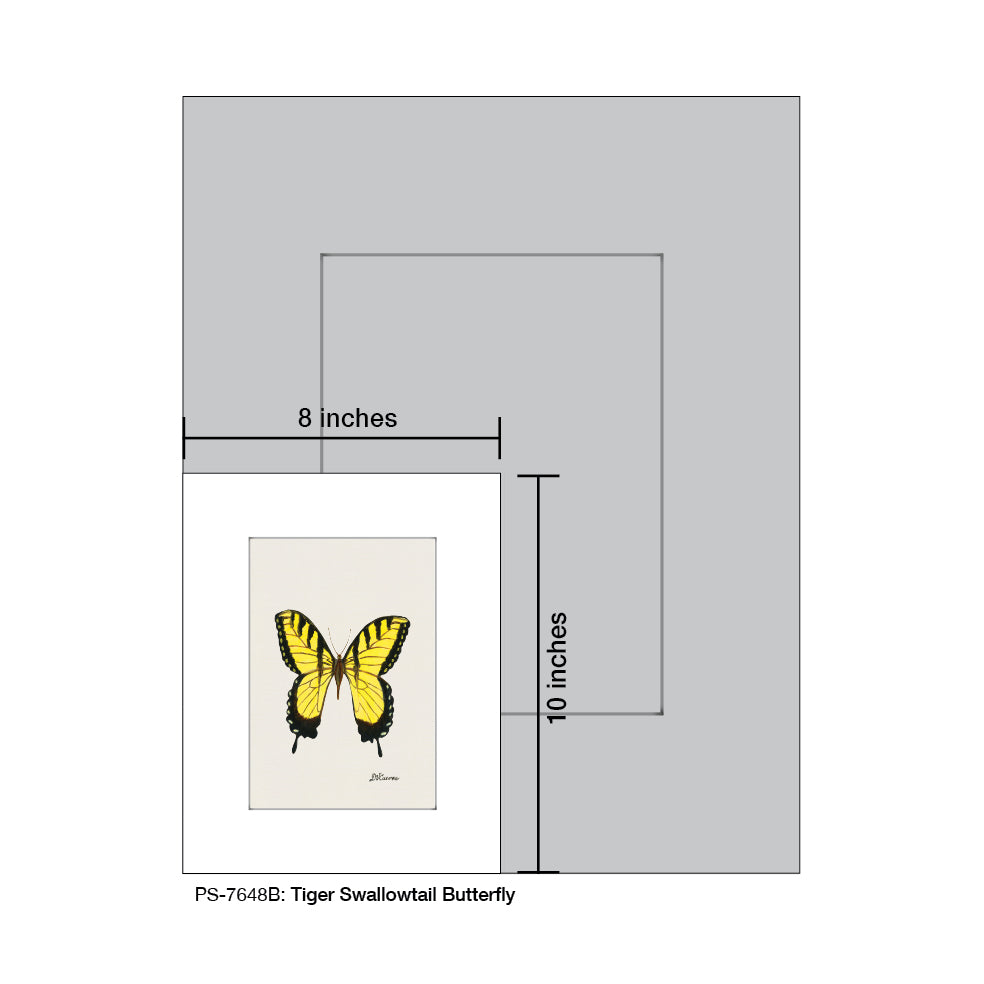 Tiger Swallowtail Butterfly, Print (#7648B)