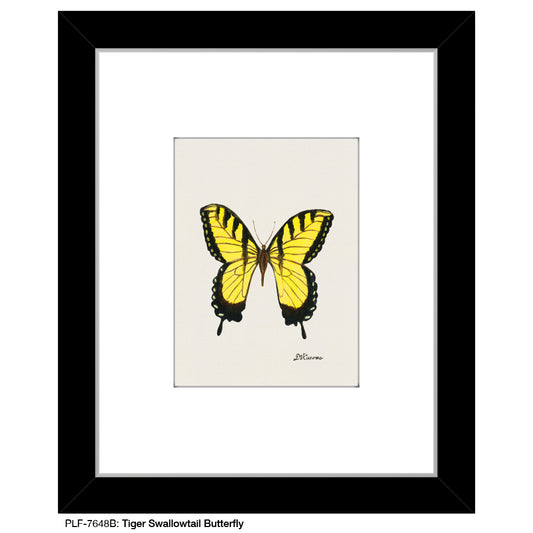 Tiger Swallowtail Butterfly, Print (#7648B)