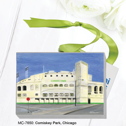 Comiskey Park, Chicago, Mini Canvas (MC-7650), Front, printedcanvas.com