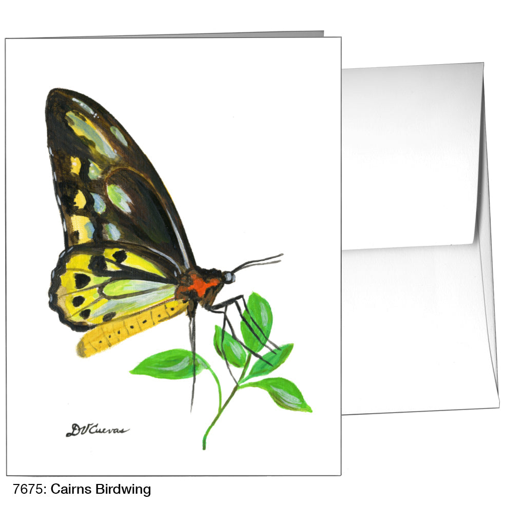 Cairns Birdwing, Greeting Card (7675), A2, printedcanvas.com