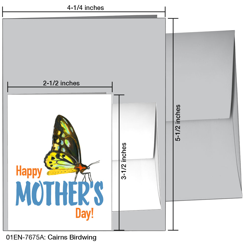 Cairns Birdwing, Greeting Card (7675A), Enclosure, printedcanvas.com