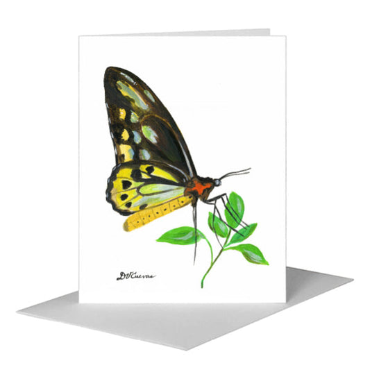 Cairns Birdwing, Greeting Card (#7675E) A2 Card Front, www.printedcanvas.com