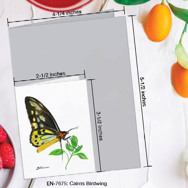 Cairns Birdwing, Greeting Card (7675E), Enclosure Card, www.printedcanvas.com