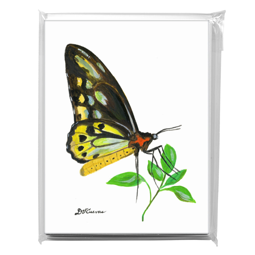 Cairns Birdwing, Greeting Card (7675), A2 8-Pack, printedcanvas.com
