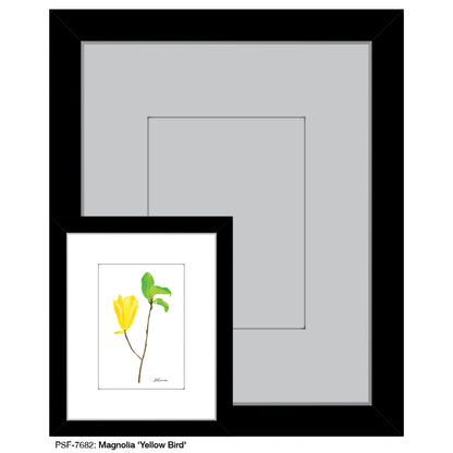 Magnolia "Yellow Bird", Print (#7682)