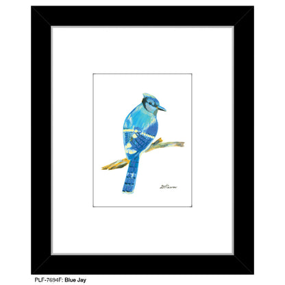 Blue Jay, Print (#7694F)