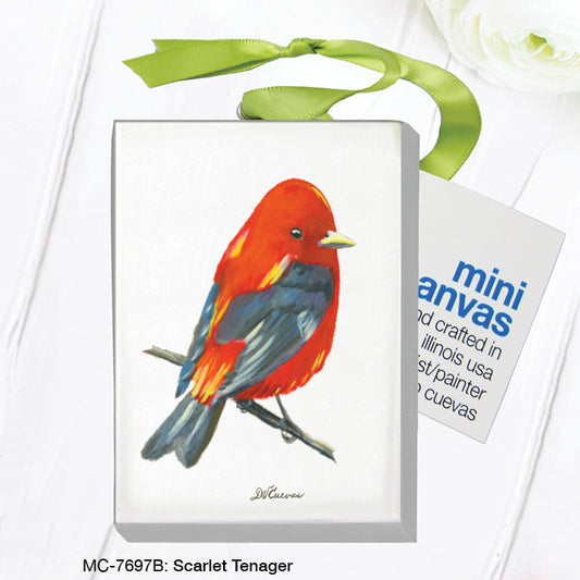 Scarlet Tenager, Mini Canvas (MC-7697B), Front, printedcanvas.com