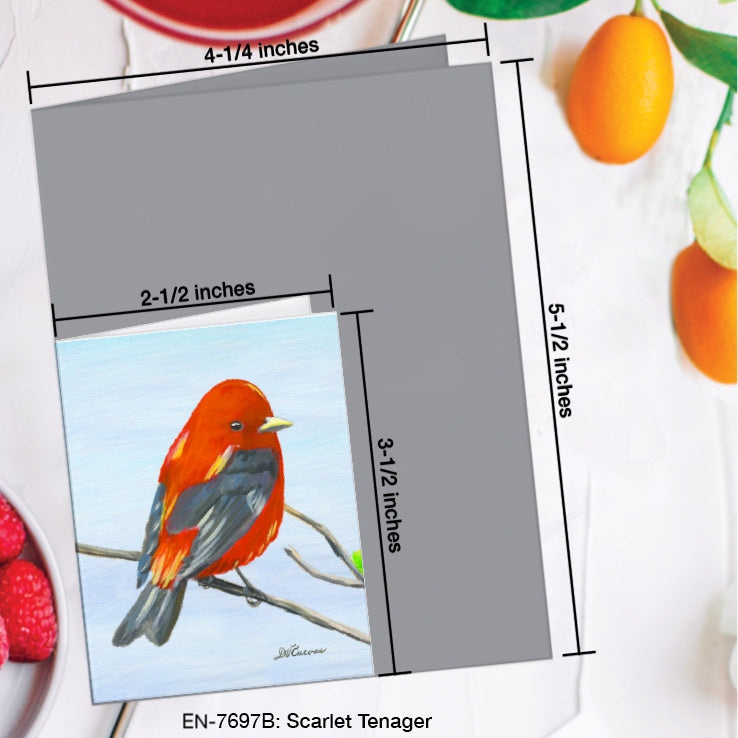 Scarlet Tenager, Greeting Card (7697B), Enclosure Card, www.printedcanvas.com