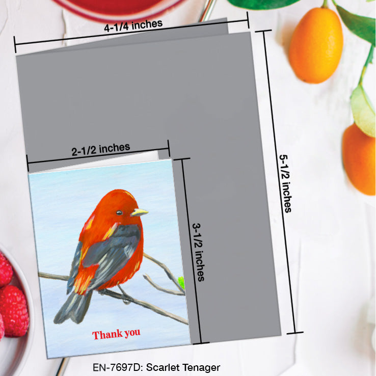 Scarlet Tenager, Greeting Card (7697D), Enclosure Card, www.printedcanvas.com