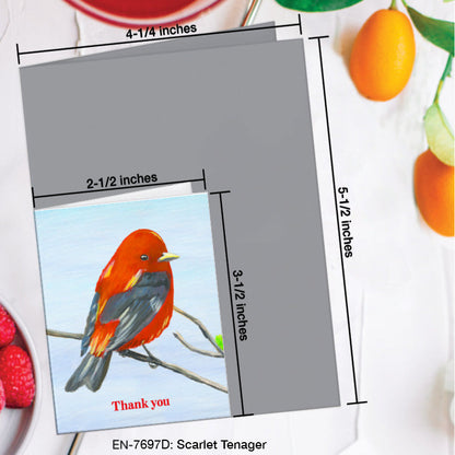 Scarlet Tenager, Greeting Card (7697D), Enclosure Card, www.printedcanvas.com