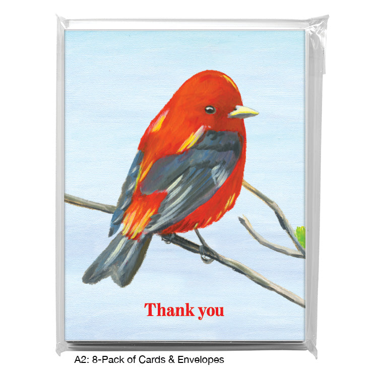 Scarlet Tenager, Greeting Card (7697D), A2 8-Pack, printedcanvas.com