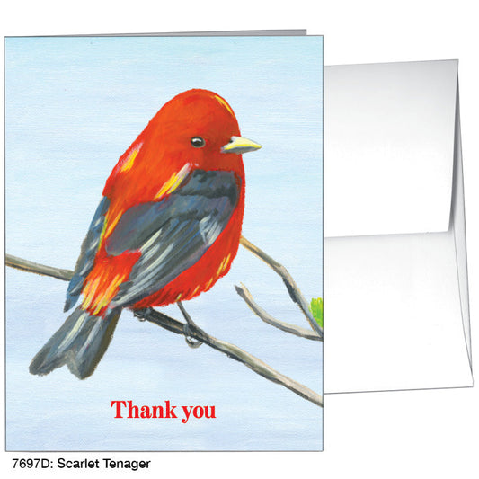 Scarlet Tenager, Greeting Card (7697D)