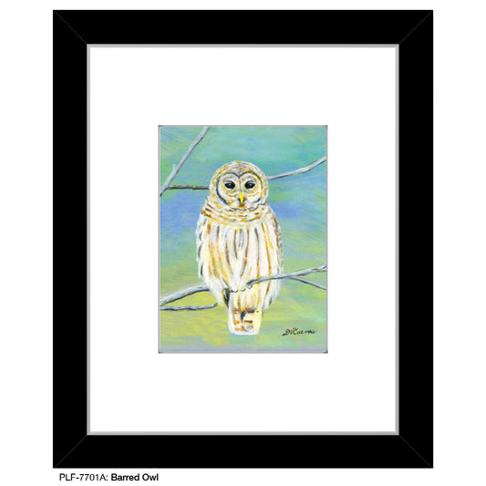 Barred Owl, Print (#7701A)
