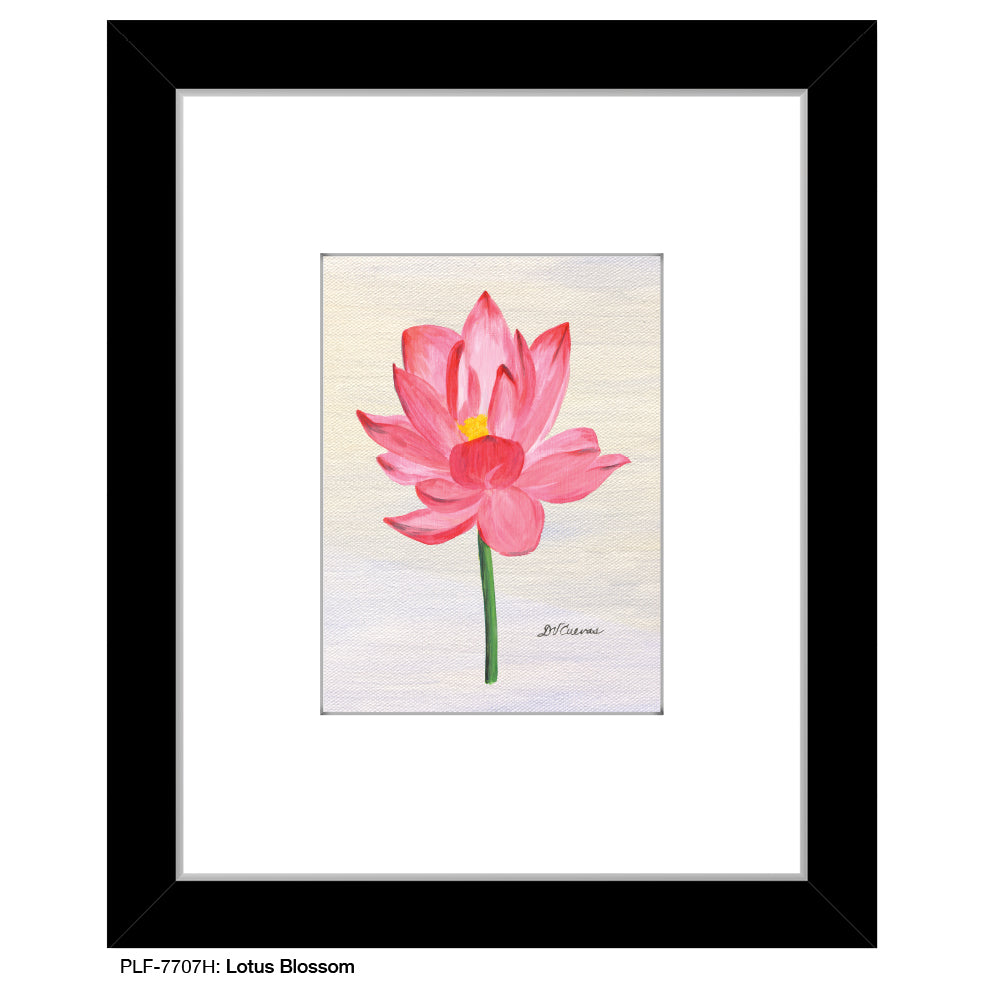 Lotus Blossom, Print (#7707H)
