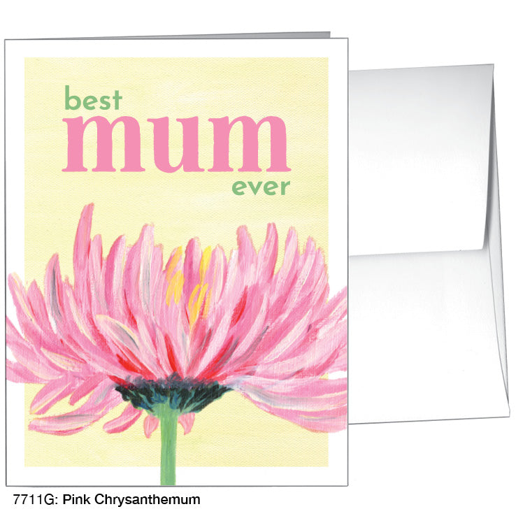 Pink Chrysanthemum, Greeting Card (7711G)
