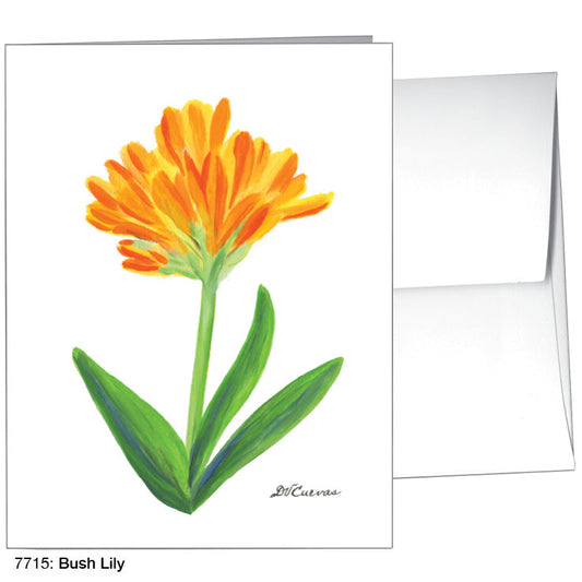 Bush Lily, Greeting Card (7715A)