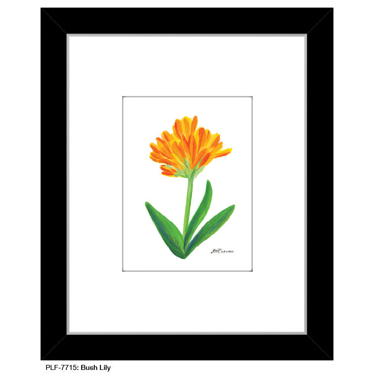 Bush Lily, Print (#7715A), Print Matted, www.printedcanvas.com