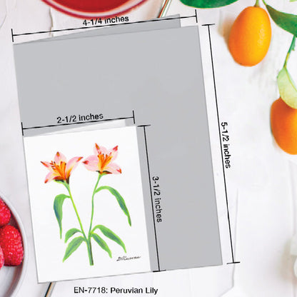Peruvian Lily, Greeting Card (7718A), Enclosure Card, www.printedcanvas.com