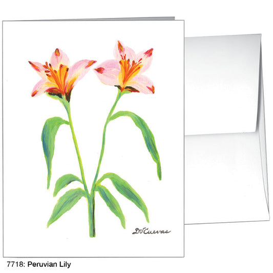 Peruvian Lily, Greeting Card (7718A), A2 Card Front, www.printedcanvas.com