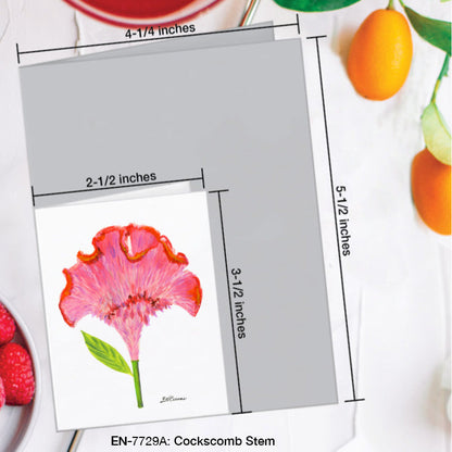 Cockscomb Stem, Greeting Card (7729A), Enclosure Card, www.printedcanvas.com