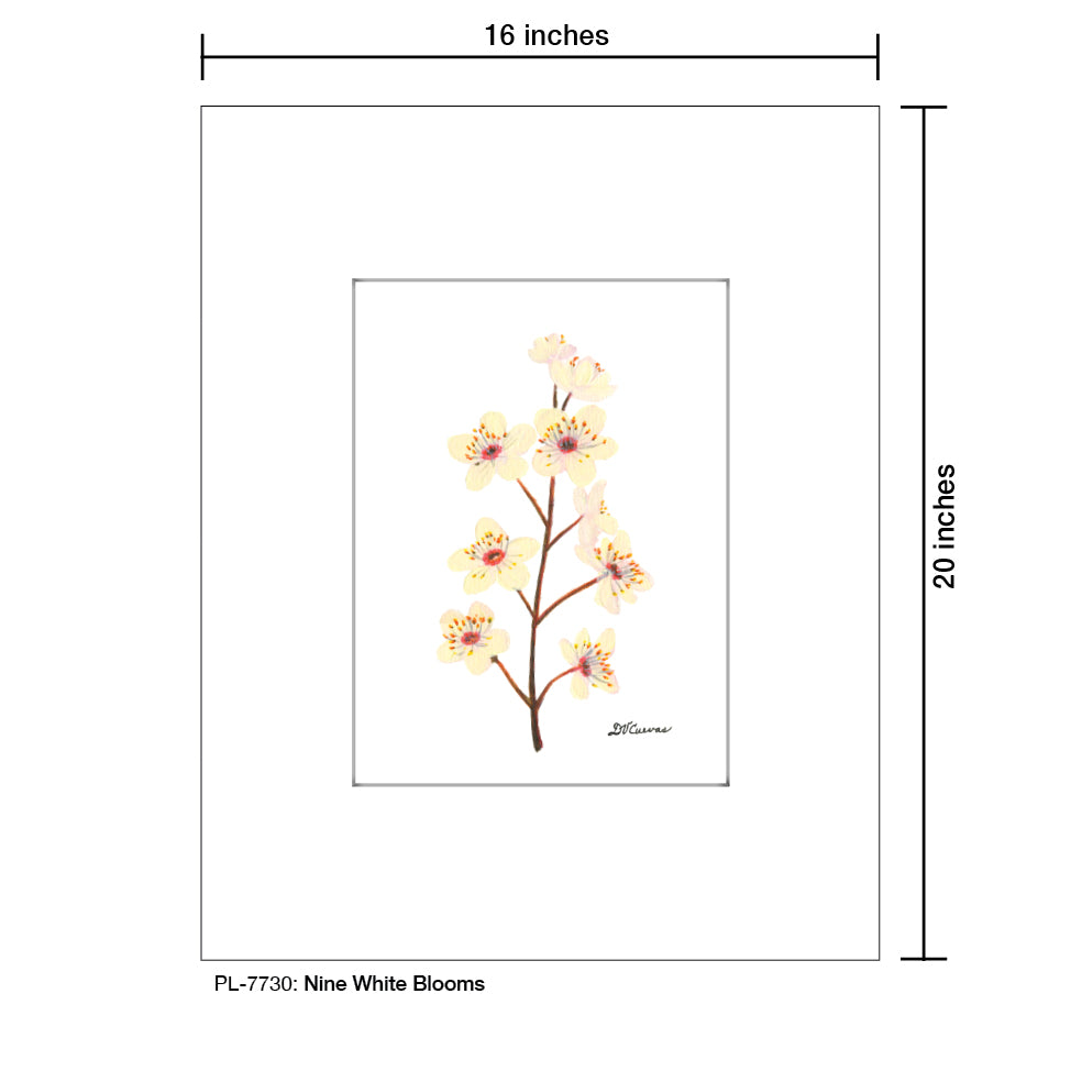 Nine White Blooms, Print (#7730)