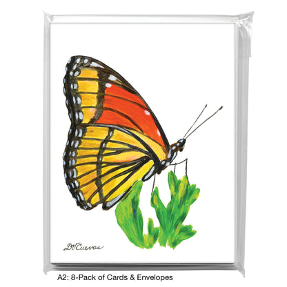 Viceroy Butterfly, Greeting Card (7749)