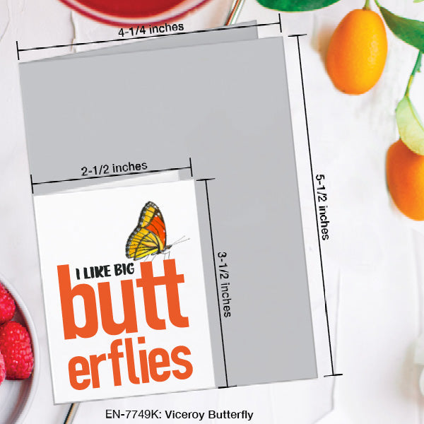 Viceroy Butterfly, Greeting Card (7749K), Enclosure, www.printedcanvas.com