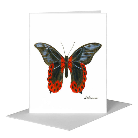 Papilio Rumanzovia Butterfly, Greeting Card (#7751A) A2 Card Front, www.printedcanvas.com