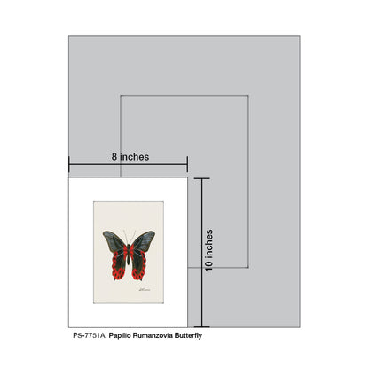 Papilio Rumanzovia Butterfly, Print (#7751A)