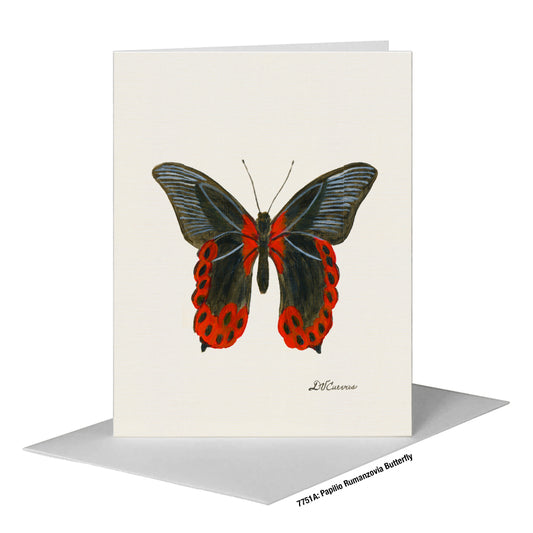 Papilio Rumanzovia Butterfly, Greeting Card (#7751A)