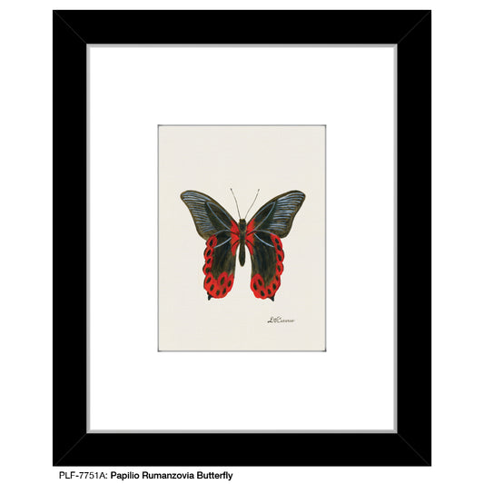 Papilio Rumanzovia Butterfly, Print (#7751A)