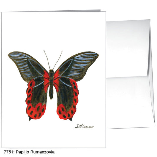 Papilio Rumanzovia, Greeting Card (7751A)
